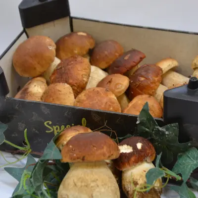 CEPES DE BORDEAUX FRAIS
