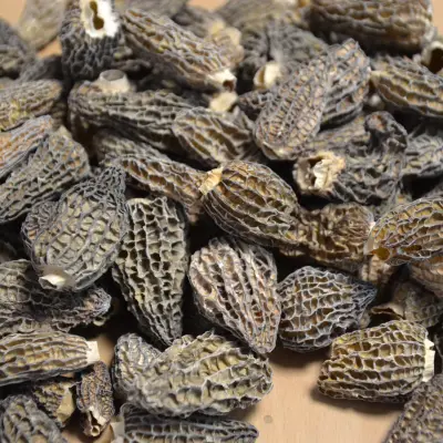 MORILLES EXTRA SECHES 