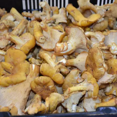 GIROLLES