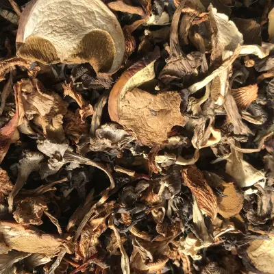 MELANGES FORESTIER SECS