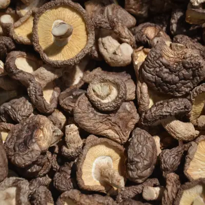 SHIITAKES SECS ENTIERS