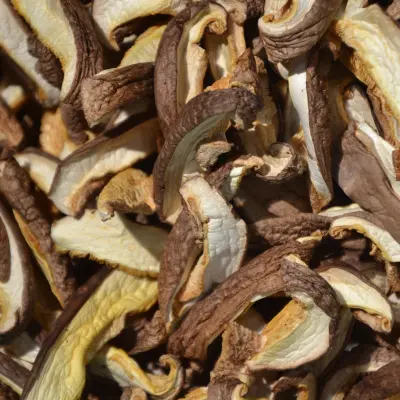 SHIITAKES SECS LANIERES