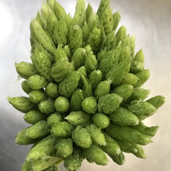 image miniature du carousel