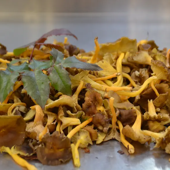 image miniature du carousel