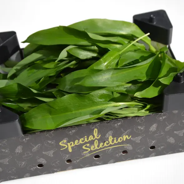 image miniature du carousel