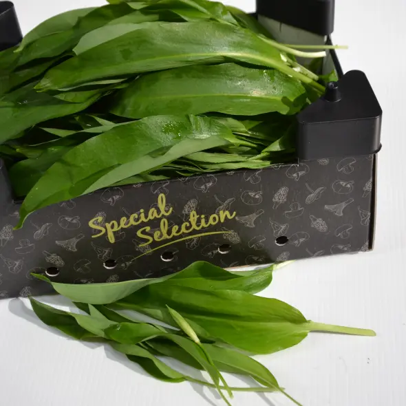 image miniature du carousel