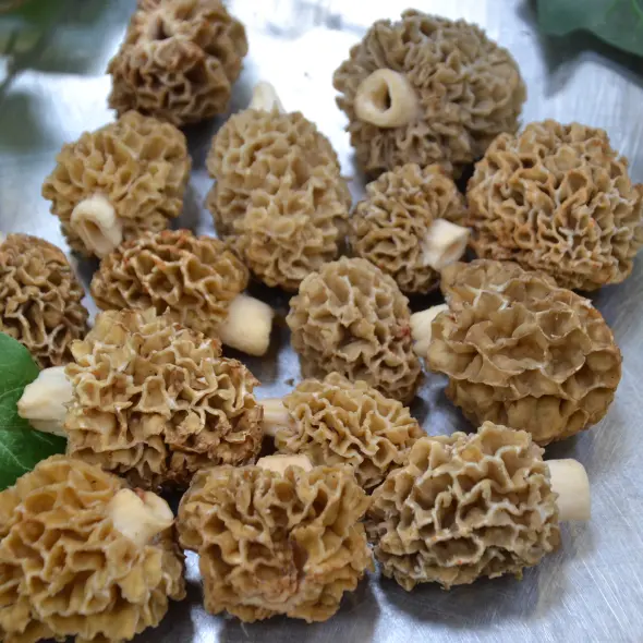 image miniature du carousel