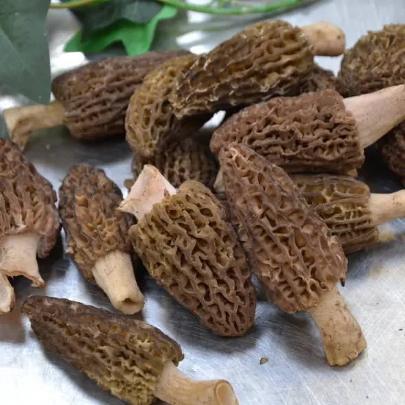 image miniature du carousel