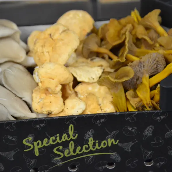 image miniature du carousel