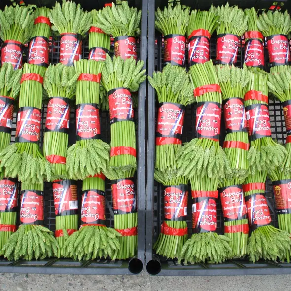 image miniature du carousel