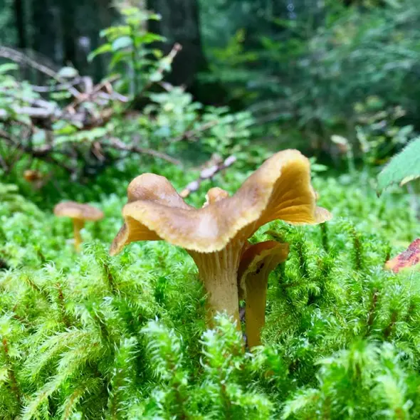 image miniature du carousel