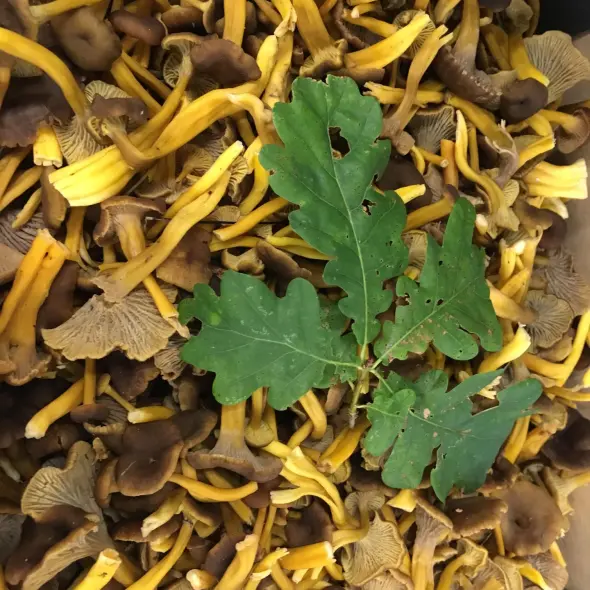 image miniature du carousel