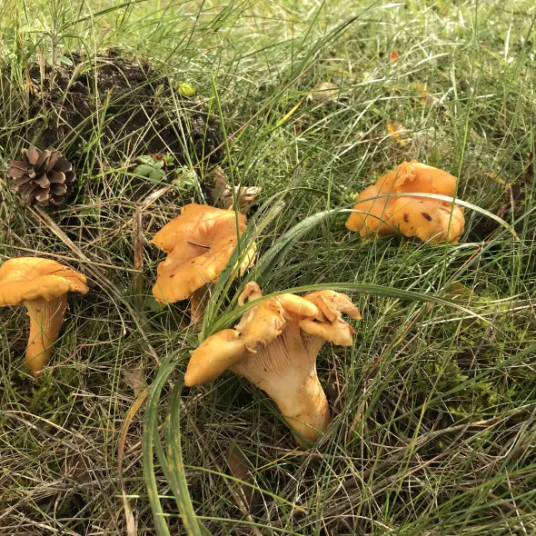 image miniature du carousel