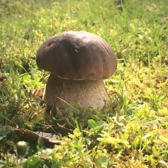 image miniature du carousel