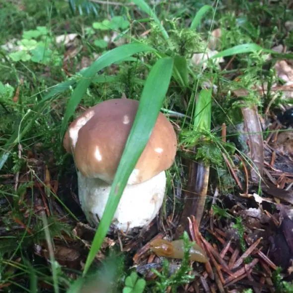 image miniature du carousel