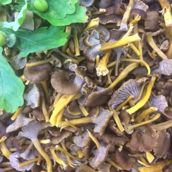 image miniature du carousel