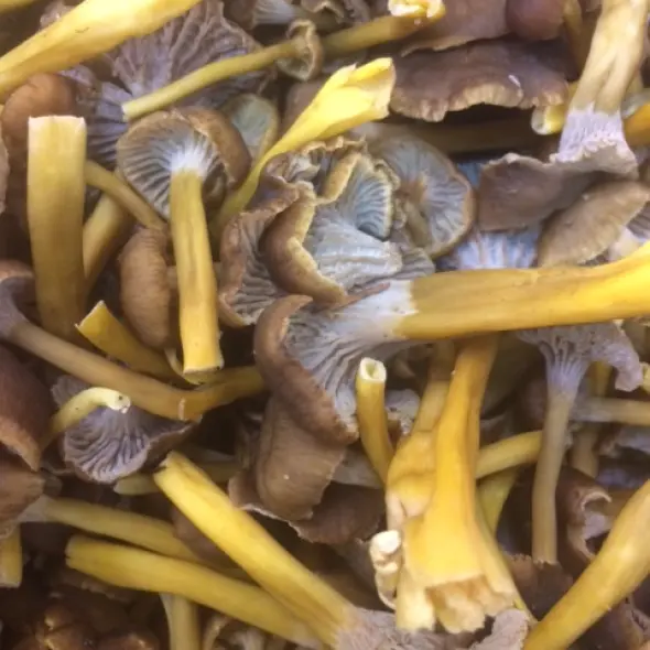 image miniature du carousel