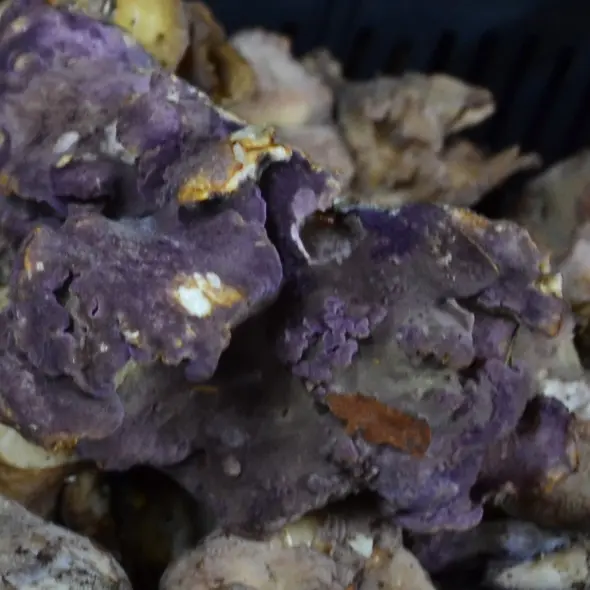 image miniature du carousel