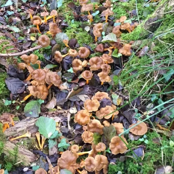 image miniature du carousel