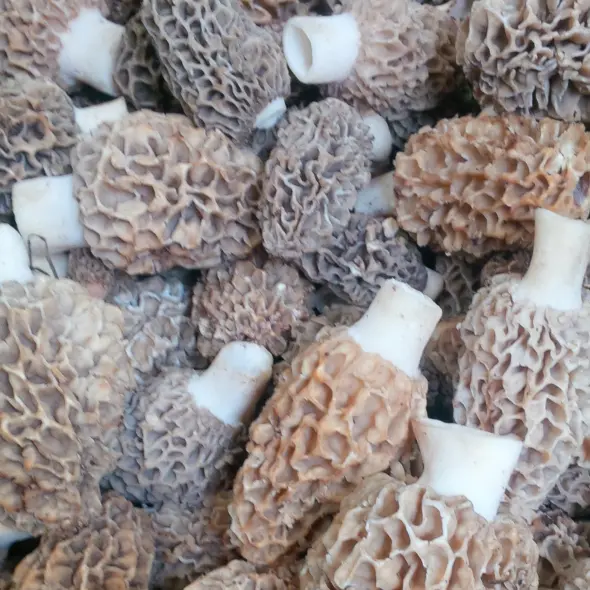 image miniature du carousel