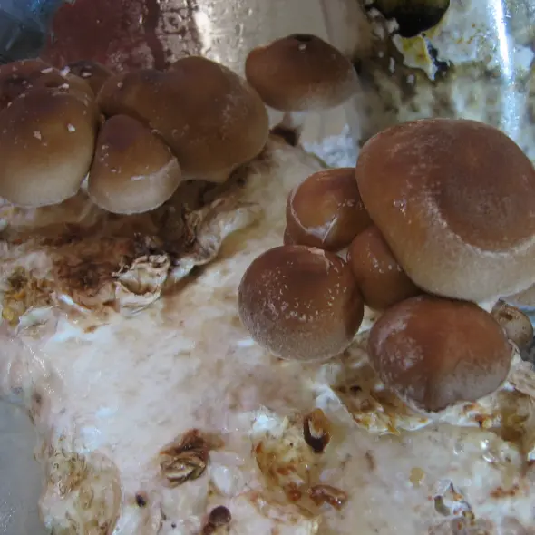 image miniature du carousel