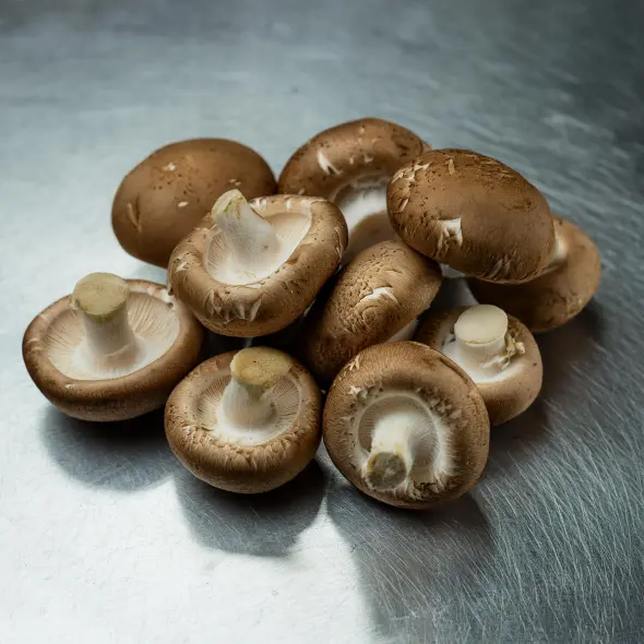 image miniature du carousel