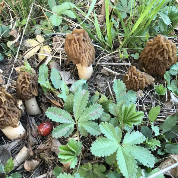 image miniature du carousel