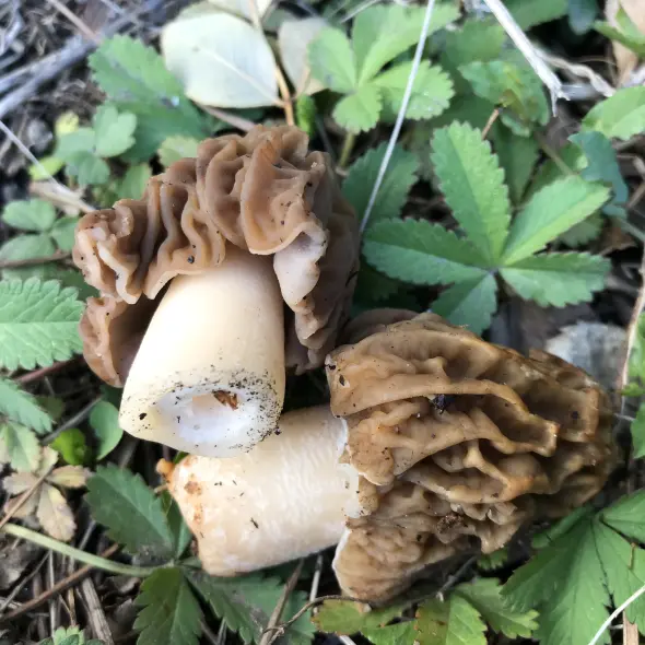 image miniature du carousel